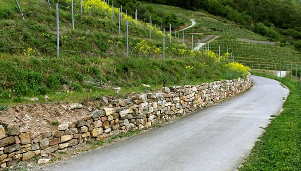 Mosaic landscape Kuhberg