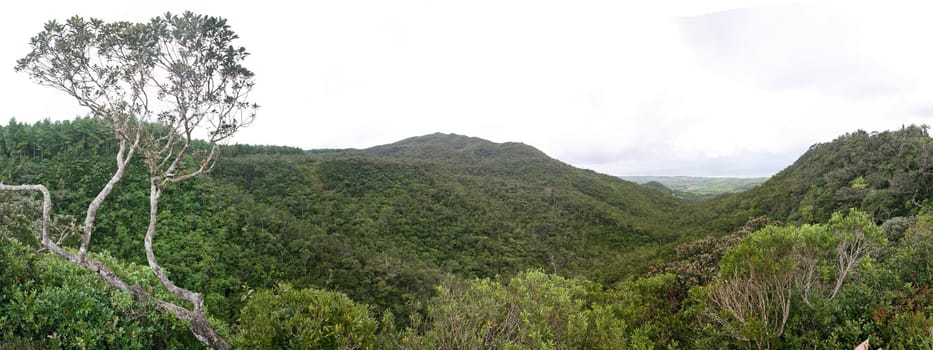 Mountain viewing platform