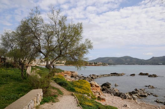 Coast near Cala Bona