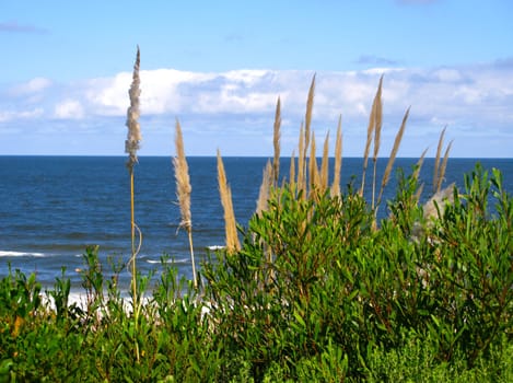 Santa Ana Beach Uruguay