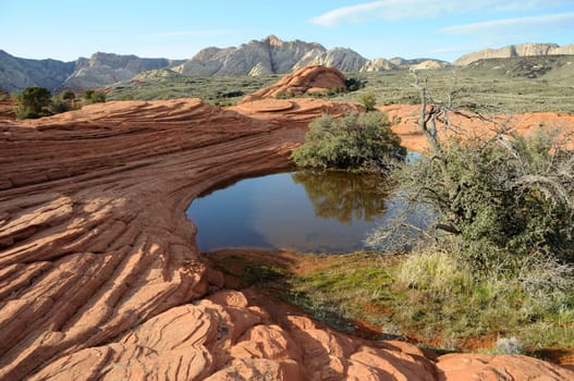 Petrified Sand Dunes Snow Canyon