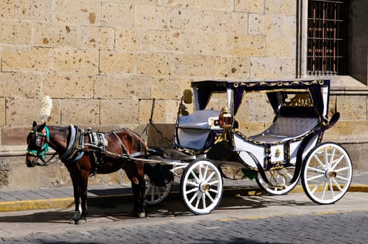 Horse drawn carriage in Guadalajara, Jalisco, Mexico
