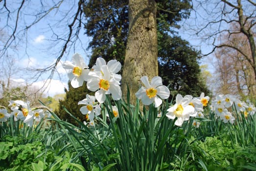 Spring