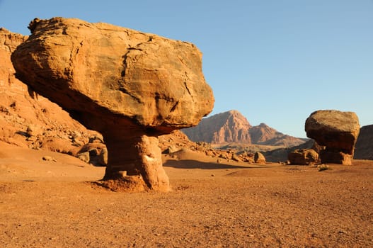 Vermilion Cliffs National Monument