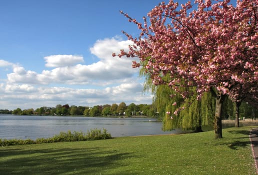 Spring on the Alster