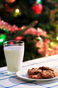 Milk and cookies for Santa