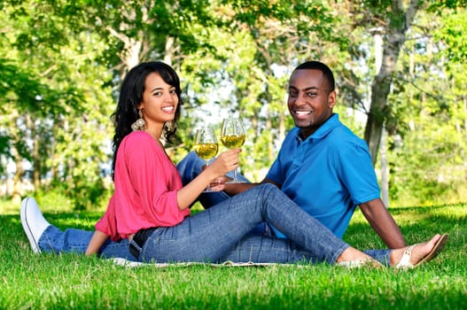 Happy couple having wine in park