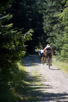 Mountain cyclists