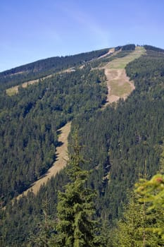 Summer downhill run