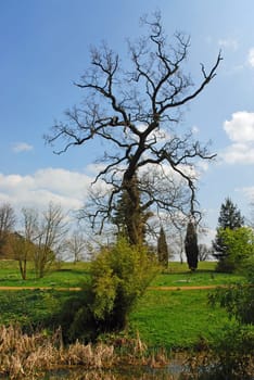 nature landscape or nature unspoiled or nature