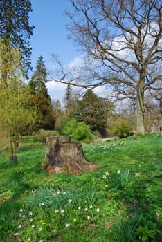 nature landscape or nature unspoiled or nature