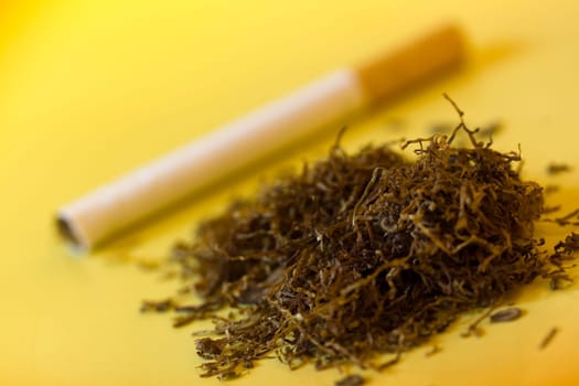 Tobacco