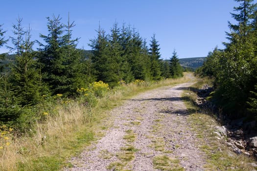 Mountain trail