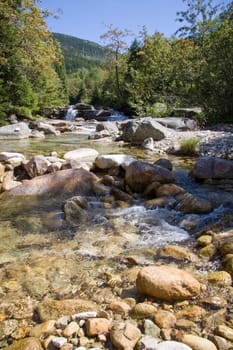 Brook scree