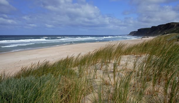 Coast