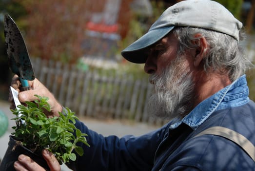 Hobby gardeners