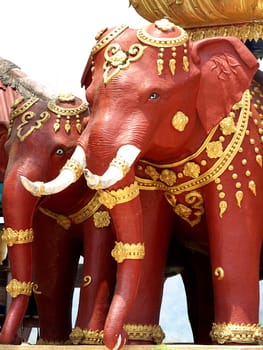 elephants