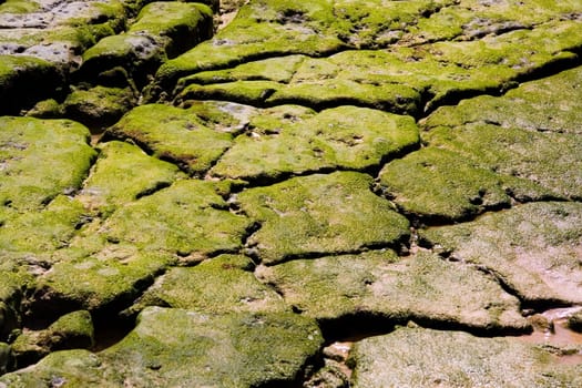 Cracked stones by the sea
