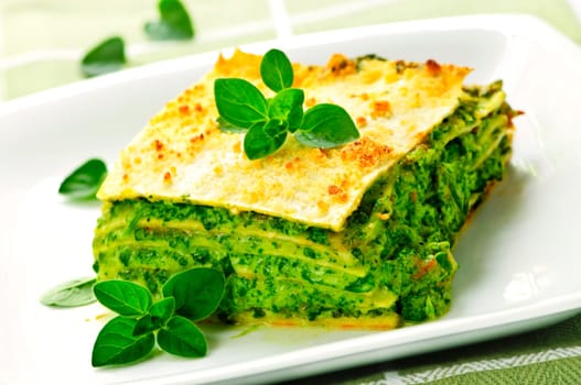 Plate of vegeterian lasagna