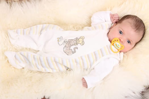 the pacifier