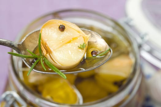 Garlic detail