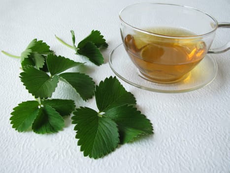 Strawberry Leaf Tea
