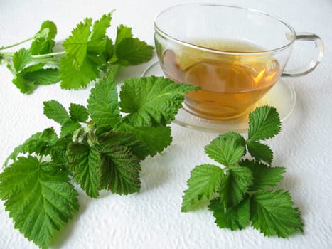 Blackberry Leaf Tea