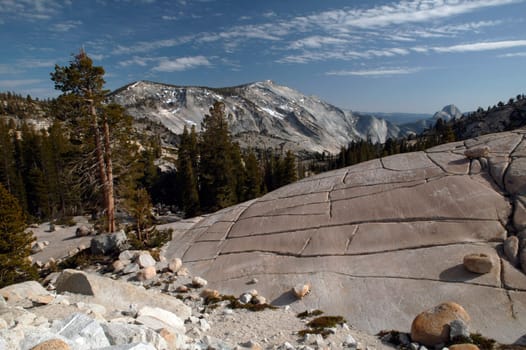 Mountain Glory
