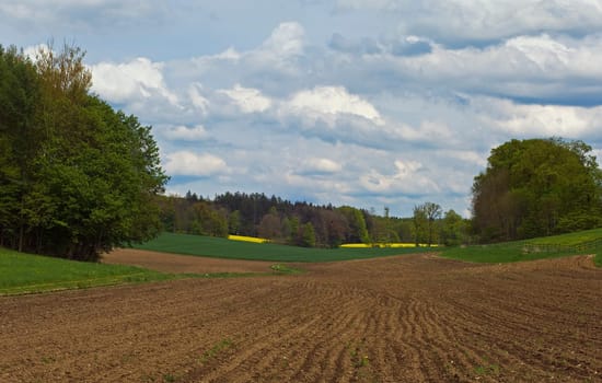 Bavaria,May 2010