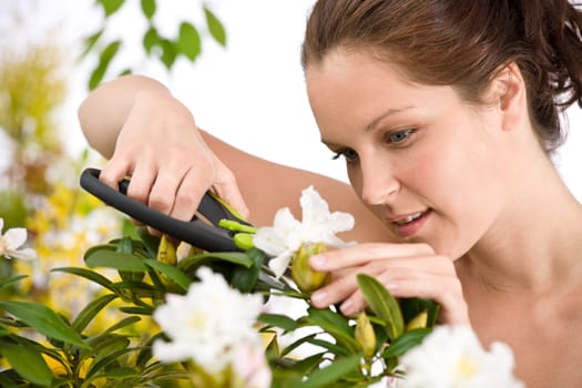 Gardening - woman cutting flower with pruning shears