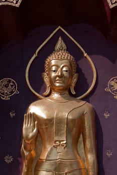 Buddha