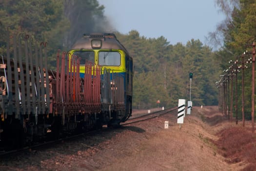 Freight diesel train