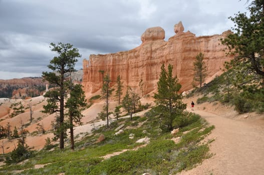 Path through Bryce Canyon