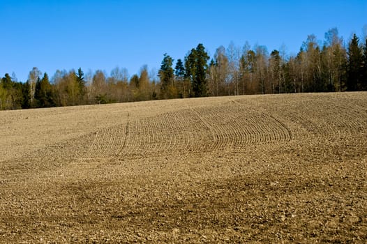 Field