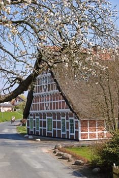 Thatched-roof house in the Altes Land