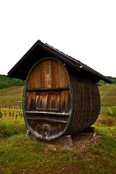 Wine barrel in France