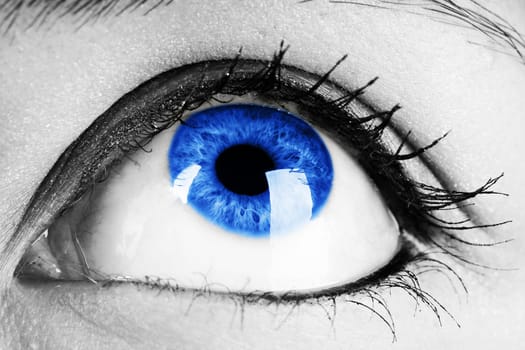 Female Eye