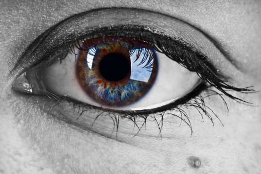 Female Eye