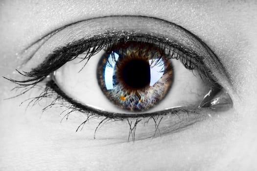 Female Eye