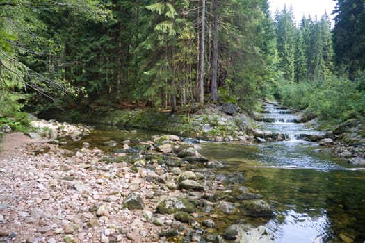 Tributary of the Labe