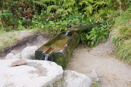Water trough