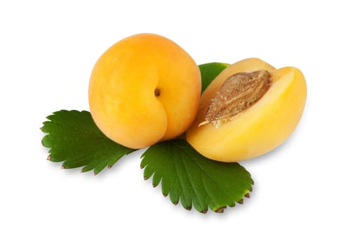 Apricots with exact clipping path