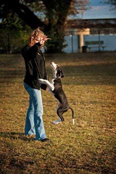 Woman with Dog Doing Tricks