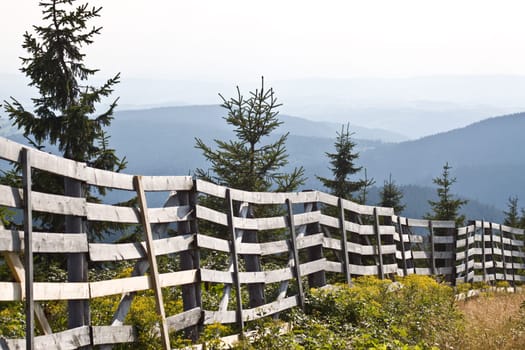 Stockade