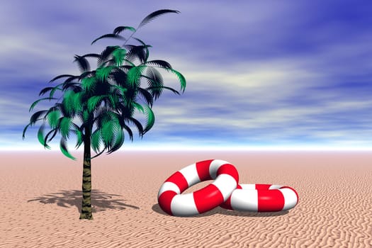 Palm Beach
