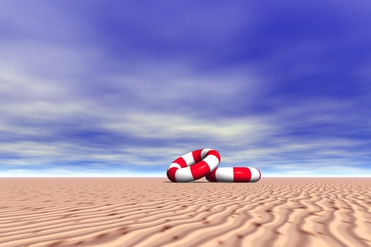 two lifebuoys