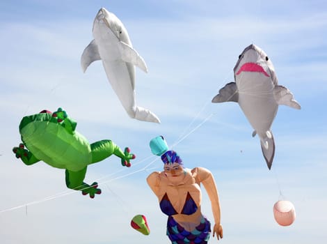 Giant Kites