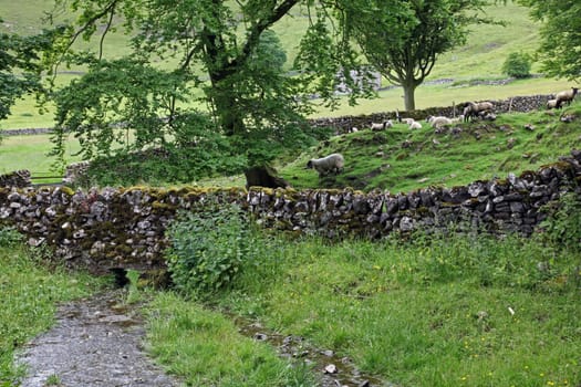 Dry stone wall in Derbyshire England
