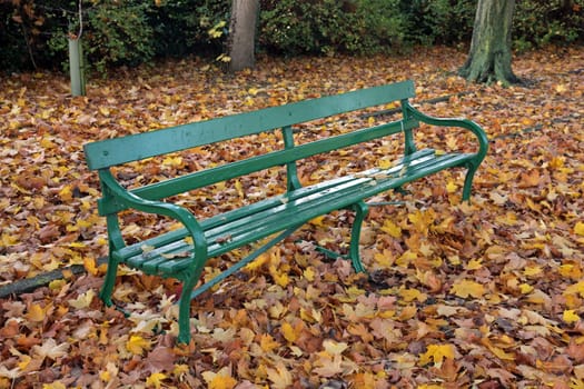 Park bench in the autumn