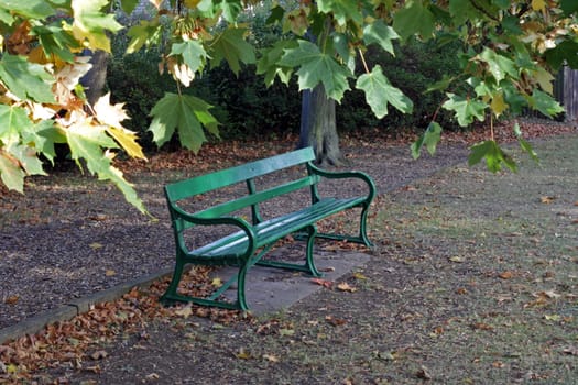 Park bench in the early autumn.